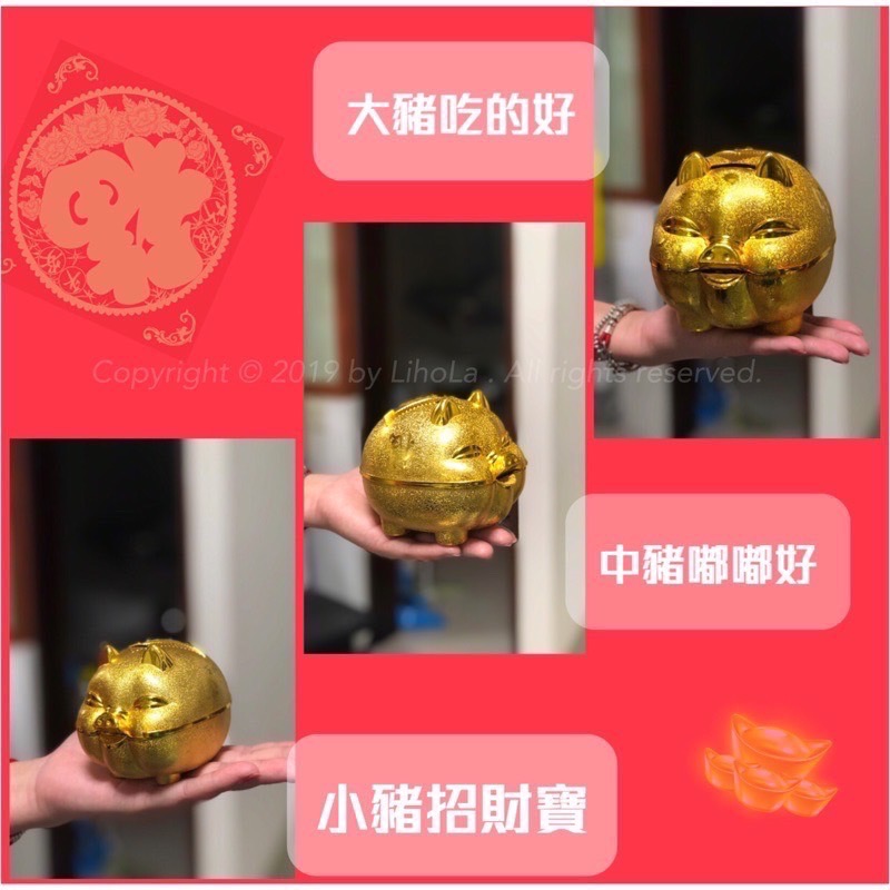 金豬撲滿 撲滿 存錢筒 金豬存錢筒 小豬撲滿 儲蓄 過年小物 硬幣 擺飾 居家生活用品 豬公 存錢 收納 EA453-細節圖5
