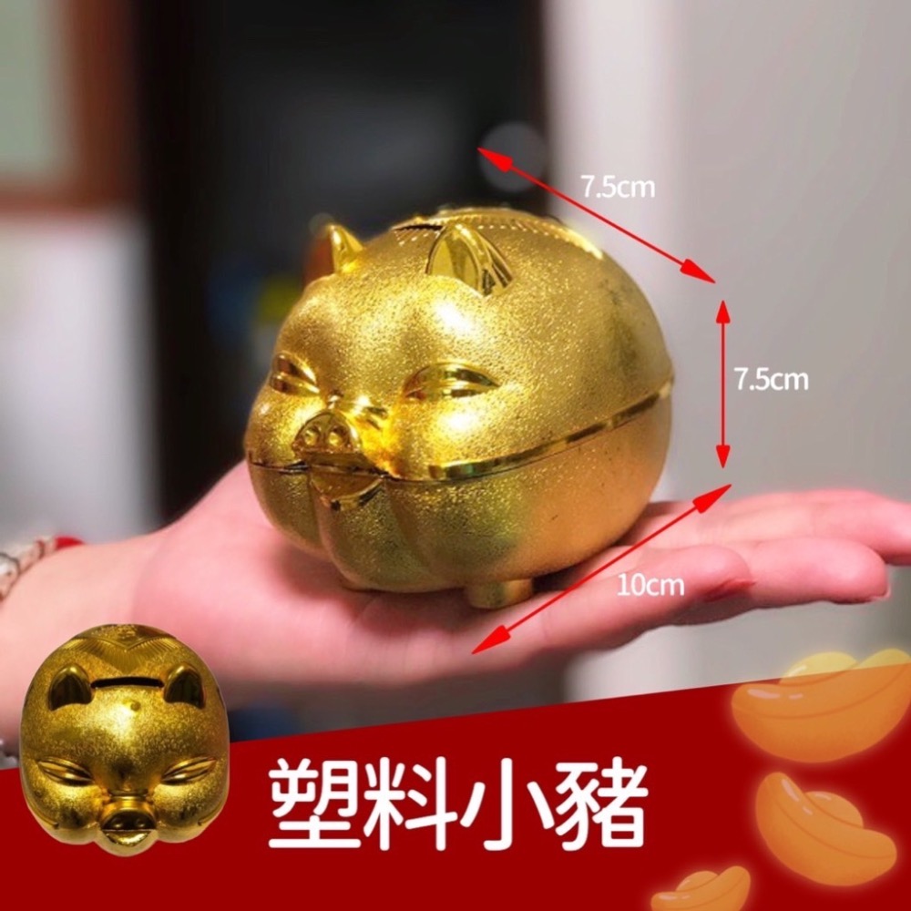 金豬撲滿 撲滿 存錢筒 金豬存錢筒 小豬撲滿 儲蓄 過年小物 硬幣 擺飾 居家生活用品 豬公 存錢 收納 EA453-細節圖8