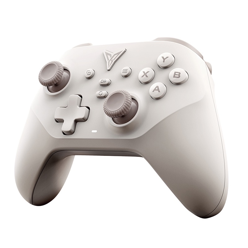 信星科技 飛智 DuneFox 沙漠狐 雙霍爾 遊戲手把 支援Switch 無線手把 任天堂 瑪利歐 搖桿 AA0048-規格圖11