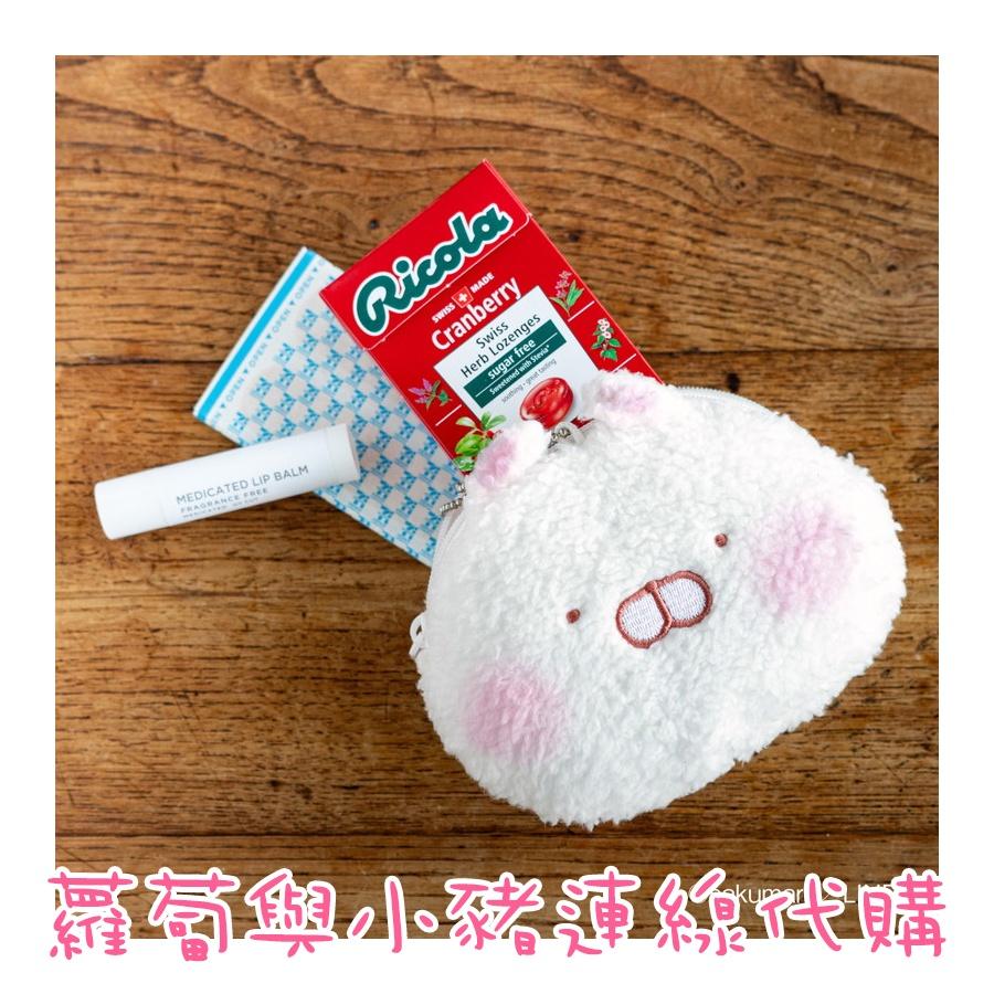 現貨 USAMARU 兔丸 Chibi Chibi寶寶系列 大臉造型 環保購物袋 收納包 sakumaru 小兔 兔子-細節圖3