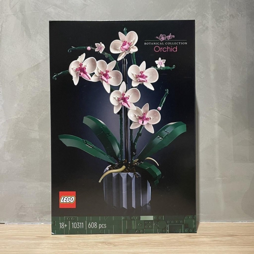 (bear)正版現貨 LEGO 樂高 10311 擺設 蘭花 Orchid 花藝 收藏