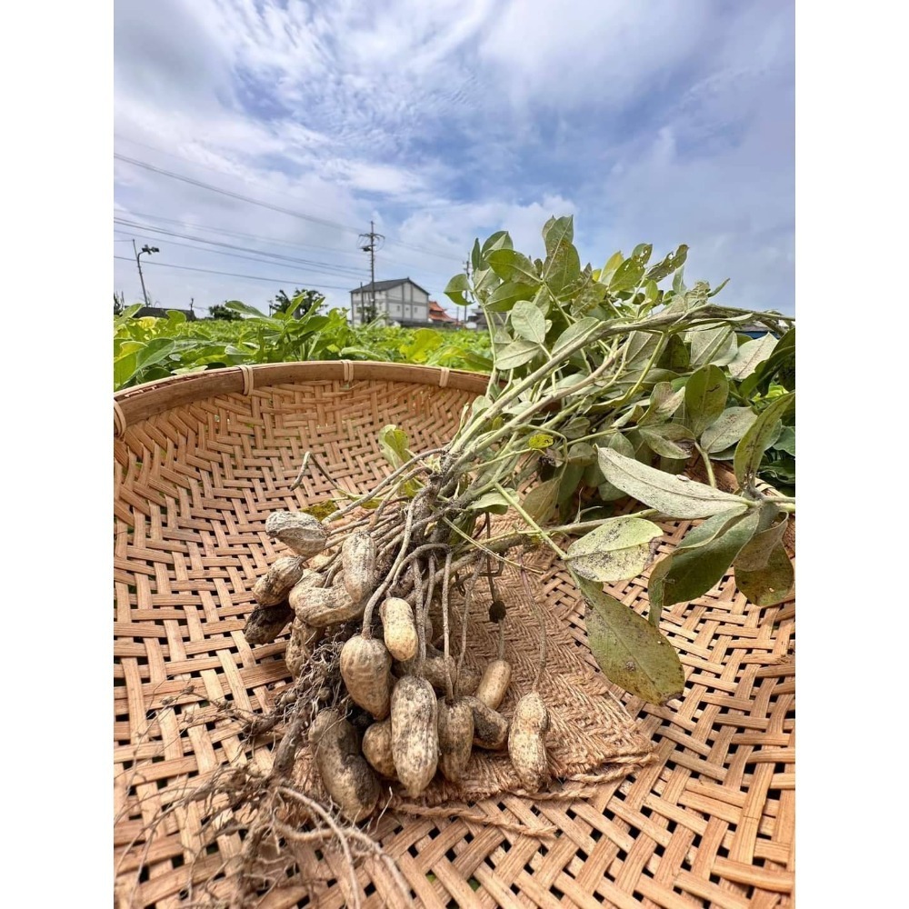 謝媽媽-9號鹽炒花生-細節圖2