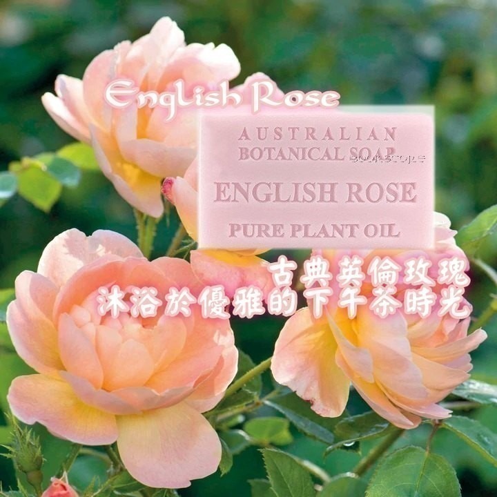 澳洲植物精油香皂 英倫玫瑰 English Rose Australian Botanical SOAP 星心堂-細節圖3
