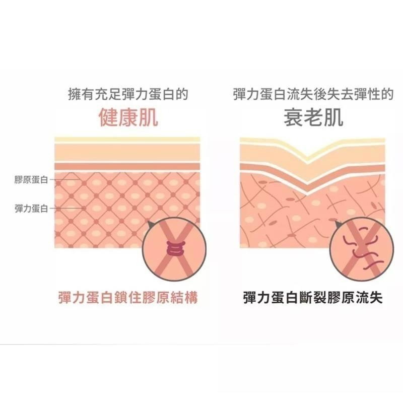 新肌密 5倍濃縮深層拉提澎潤霜 美國製造 專利彈力蛋白 親膚活性高彈力素30ml  (木質調)-細節圖2