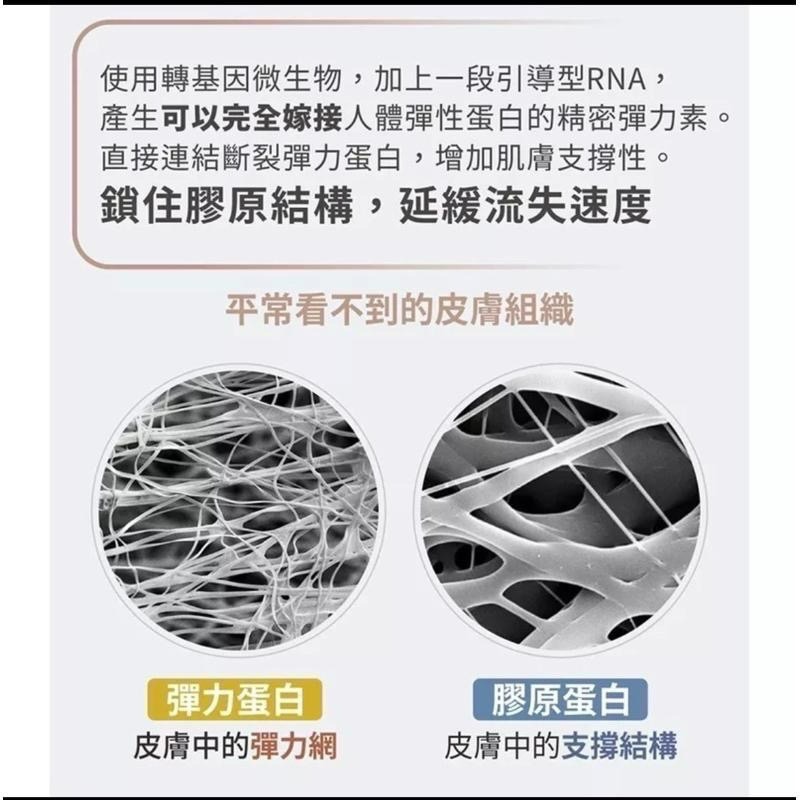 新肌密 5倍濃縮深層拉提澎潤霜 美國製造 專利彈力蛋白 親膚活性高彈力素30ml  (木質調)-細節圖5