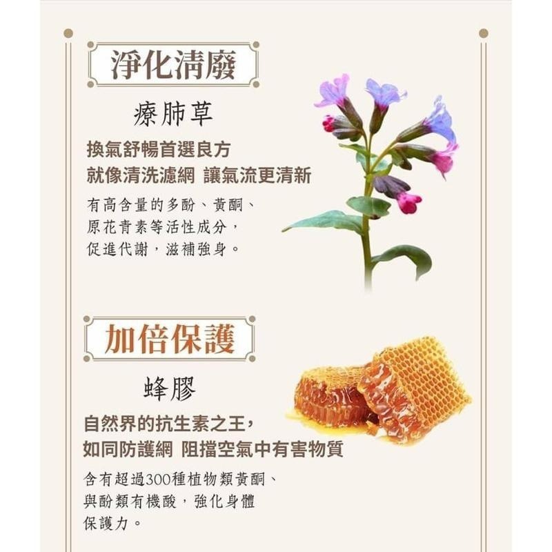 蜂膠療肺草 粉光枇杷潤 喉丹 枇杷球 喉糖 漢方潤喉 金銀花 喉嚨癢 咳嗽 台灣製造 50g/包 丟丟妹直播-細節圖3