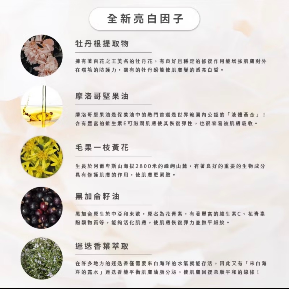 MYSTERY秘境 秘境濾鏡霜 10入/盒 自然遮瑕 美白保濕 珍珠粉 妝前打底 隔離霜 素顏霜-細節圖9