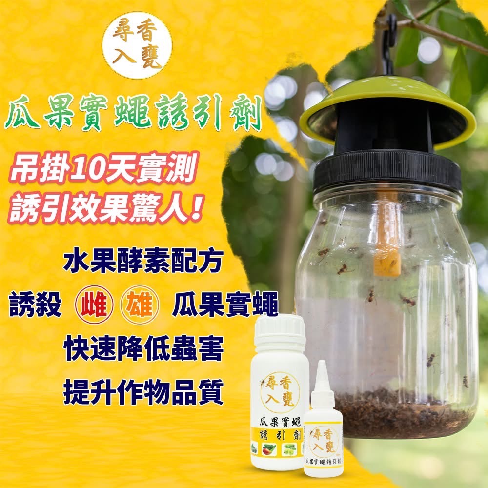 清檜 尋香入甕瓜果實蠅誘引劑-塊狀版 引誘器 果蠅誘捕器-細節圖2