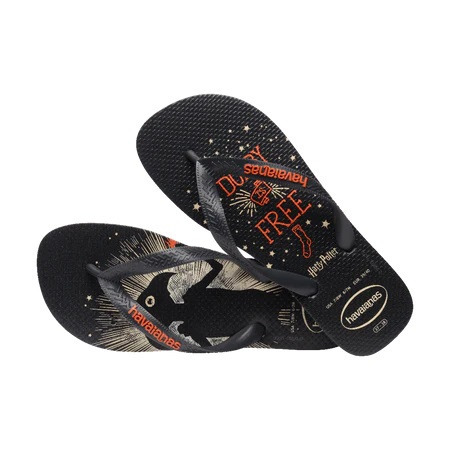 havaianas 哈瓦仕 巴西人字拖 官方唯一授權 寬帶款 多比 4141763-7866-細節圖4