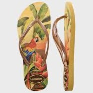 havaianas 哈瓦仕 巴西人字拖 官方唯一授權 女款 熱帶-金剛鸚鵡金色4122111-5559-細節圖3