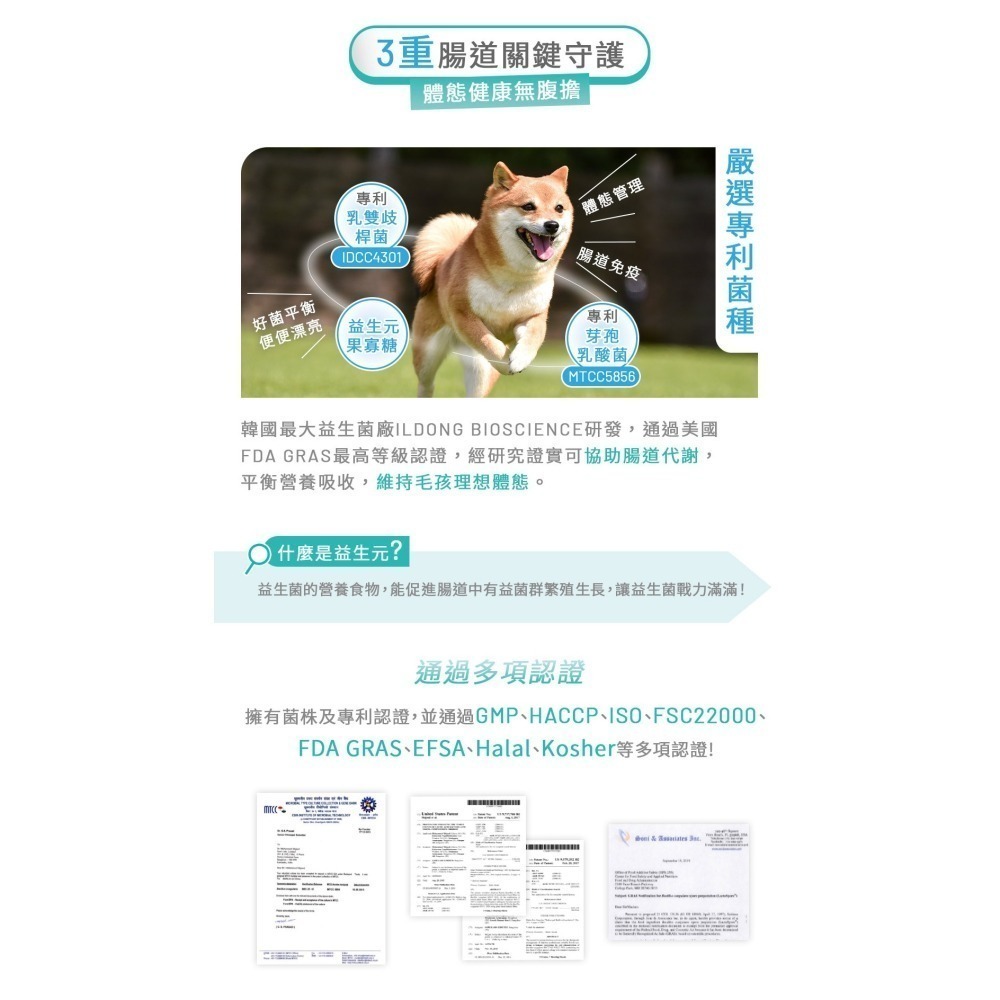 【黃金盾】寵物 好腸胃壯壯 三盒優惠組(30包/盒) #好禮活動 送好腸胃壯壯體驗組 #寵愛毛孩 #犬貓 #檢驗合格-細節圖5