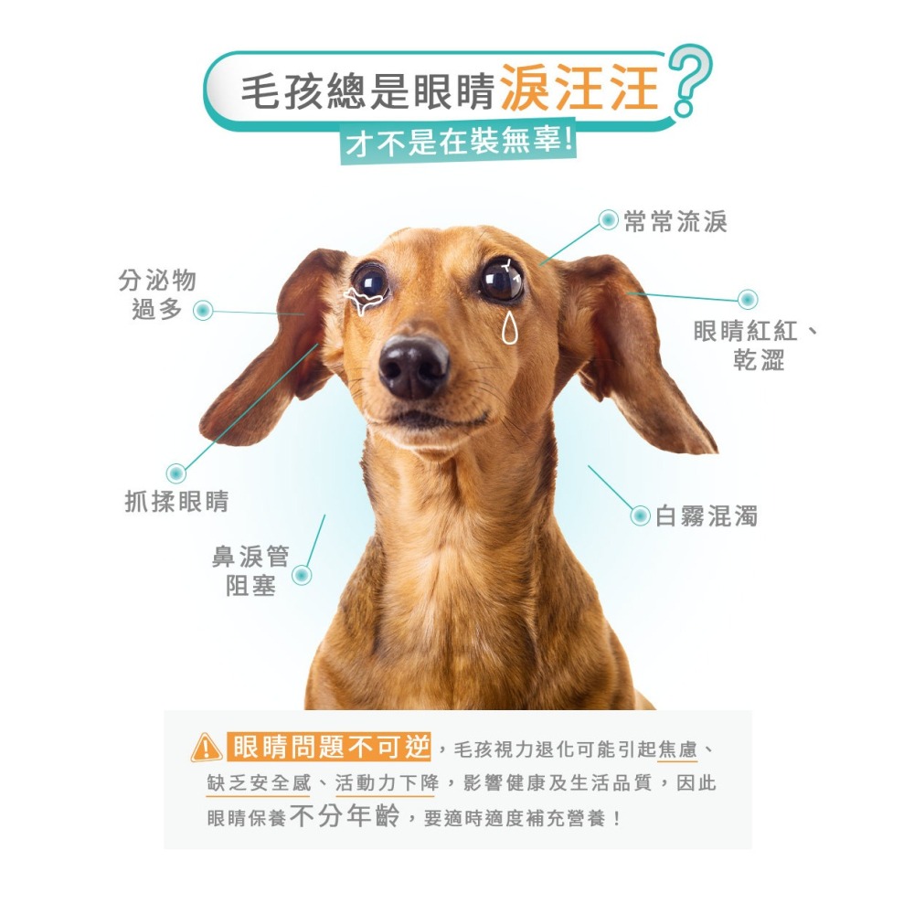 【黃金盾】寵物 護眼亮晶晶 三盒優惠組(30包/盒) #好禮活動 送好腸胃壯壯體驗組 #寵愛毛孩 #犬貓 #檢驗合格-細節圖3