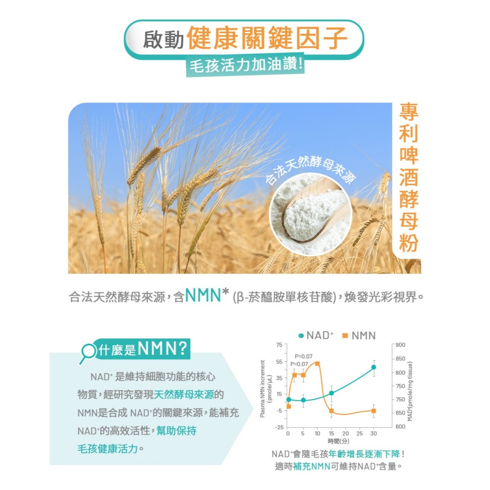 【黃金盾】寵物 護眼亮晶晶 三盒優惠組(30包/盒) #好禮活動 送好腸胃壯壯體驗組 #寵愛毛孩 #犬貓 #檢驗合格-細節圖6