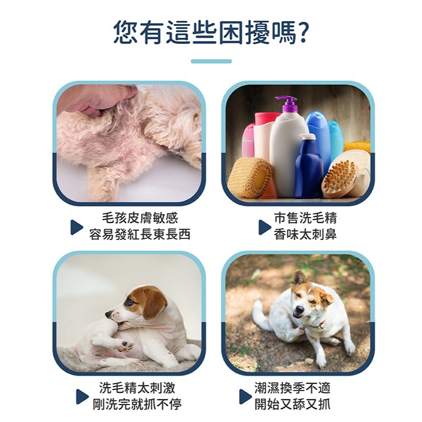 【黃金盾】寵物 皮膚問題洗毛精 500ml/瓶  #寵愛毛孩 #犬貓 #檢驗合格-細節圖2