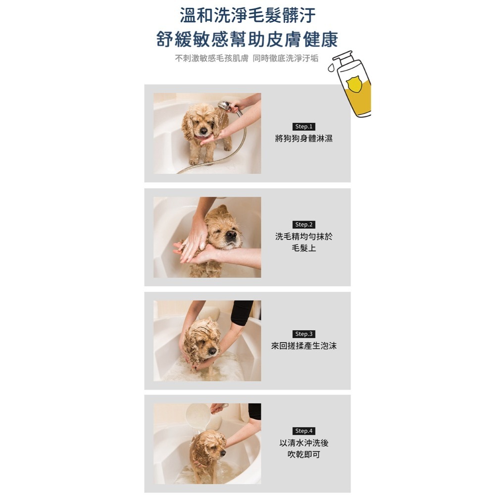 【黃金盾】寵物 皮膚問題洗毛精 500ml/瓶  #寵愛毛孩 #犬貓 #檢驗合格-細節圖8