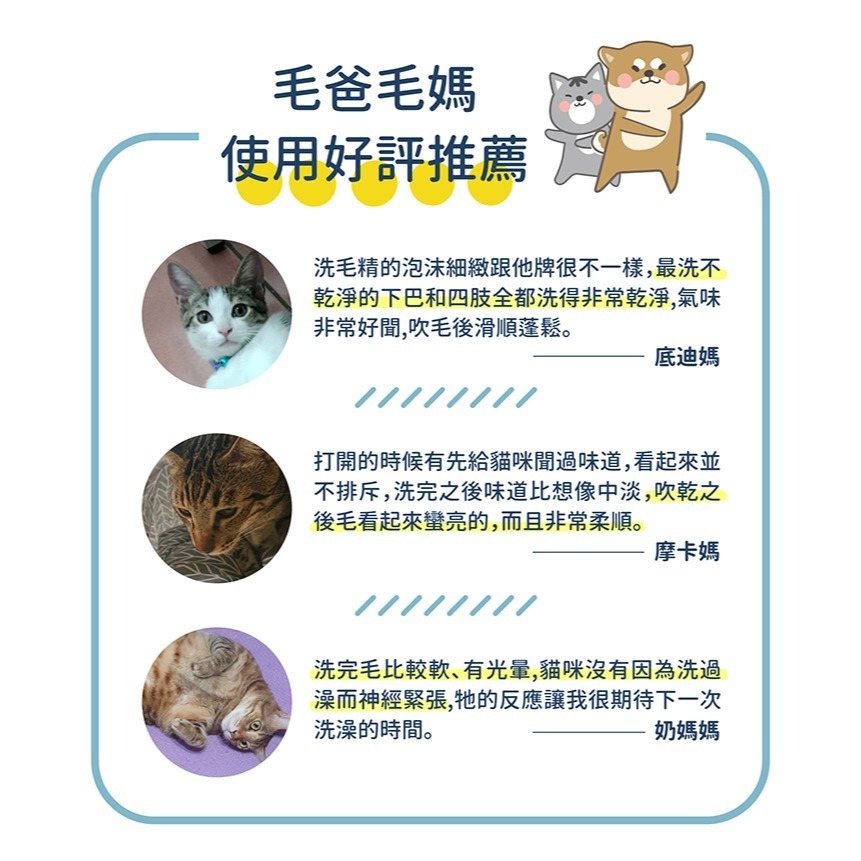 【安朗良品】黃金盾 貓咪專用 舒敏保濕洗毛精 250ml/瓶  #貓咪專用 #寵愛毛孩 #檢驗合格-細節圖7