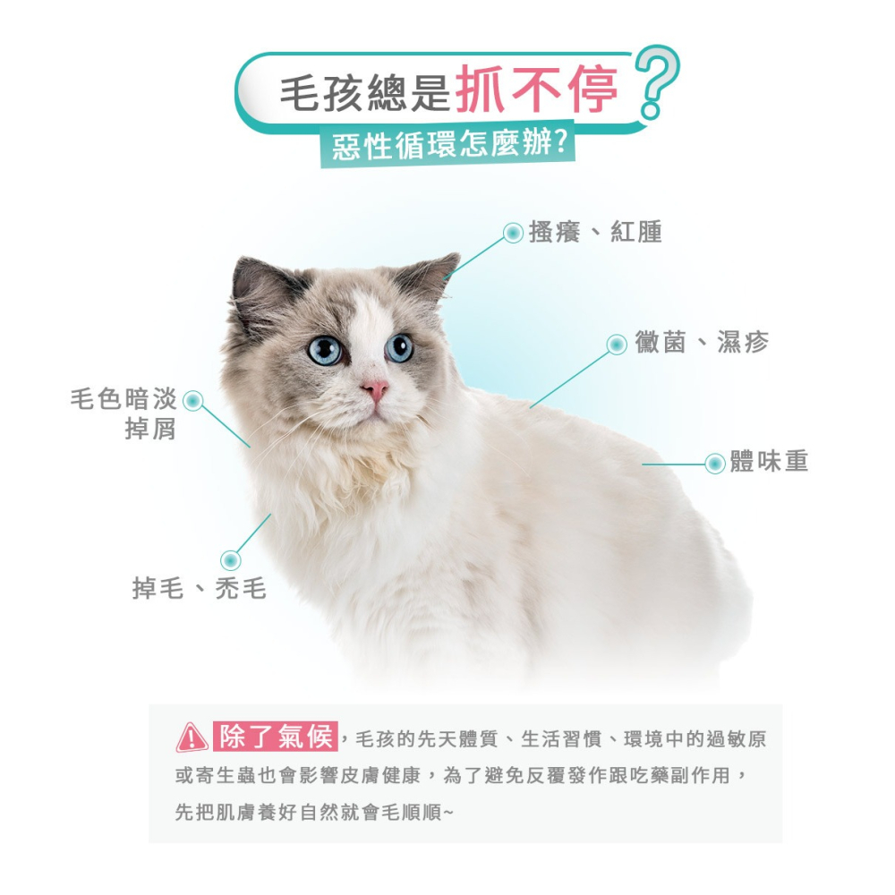 【安朗良品】｜優惠加碼｜  黃金盾 寵物 養膚毛順順 (30包/盒)   送好腸胃壯壯體驗組 #毛孩 #檢驗合格-細節圖7