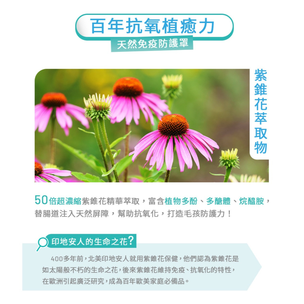 【安朗良品】｜優惠加碼｜ 黃金盾 寵物 好腸胃壯壯 (30包/盒) 送好腸胃壯壯體驗組 #毛孩 #檢驗合格-細節圖5