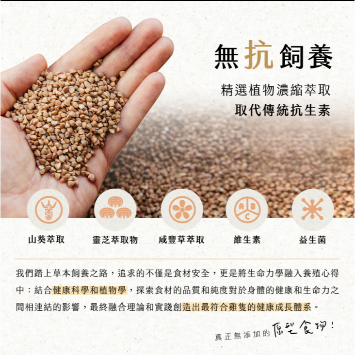 安朗良品｜大野山老菜脯雞湯650g｜放牧皇金雞｜去骨雞腿｜冷凍即食-細節圖3