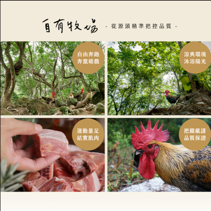 安朗良品｜大野山老菜脯雞湯650g｜放牧皇金雞｜去骨雞腿｜冷凍即食-細節圖6