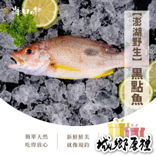 《澎湖名產》海口峰【澎湖野生】 黑點魚 200-250g