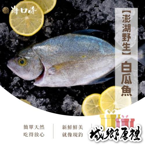 《澎湖名產》海口峰【澎湖野生】白瓜魚 350-400g
