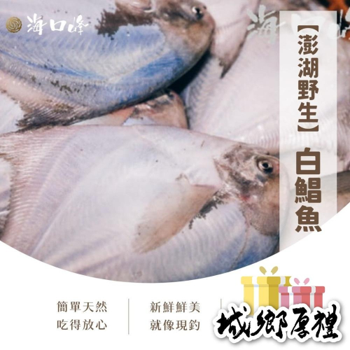 《澎湖名產》海口峰【澎湖野生】白鯧魚300-350g