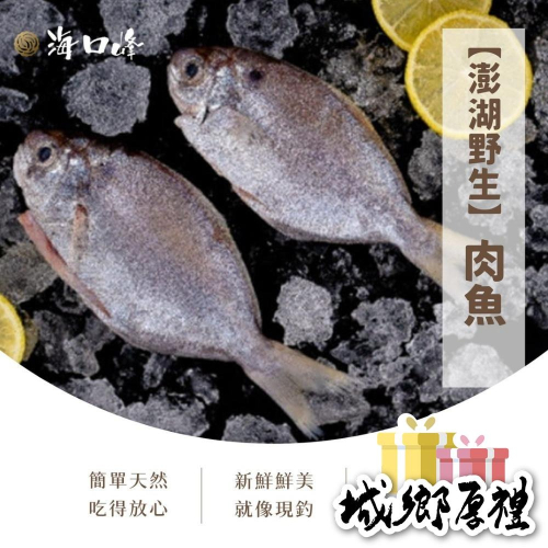 《澎湖名產》海口峰【澎湖野生】肉魚 150-200g