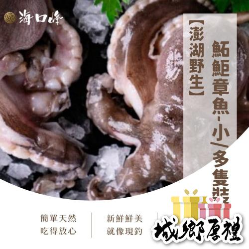 《澎湖名產》海口峰【澎湖野生】鮖鮔章魚-小 多隻裝 250g