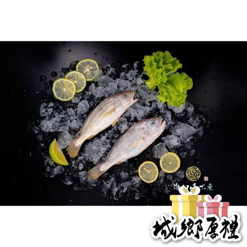 《澎湖名產》海口峰【澎湖野生】帕頭魚 200-250克