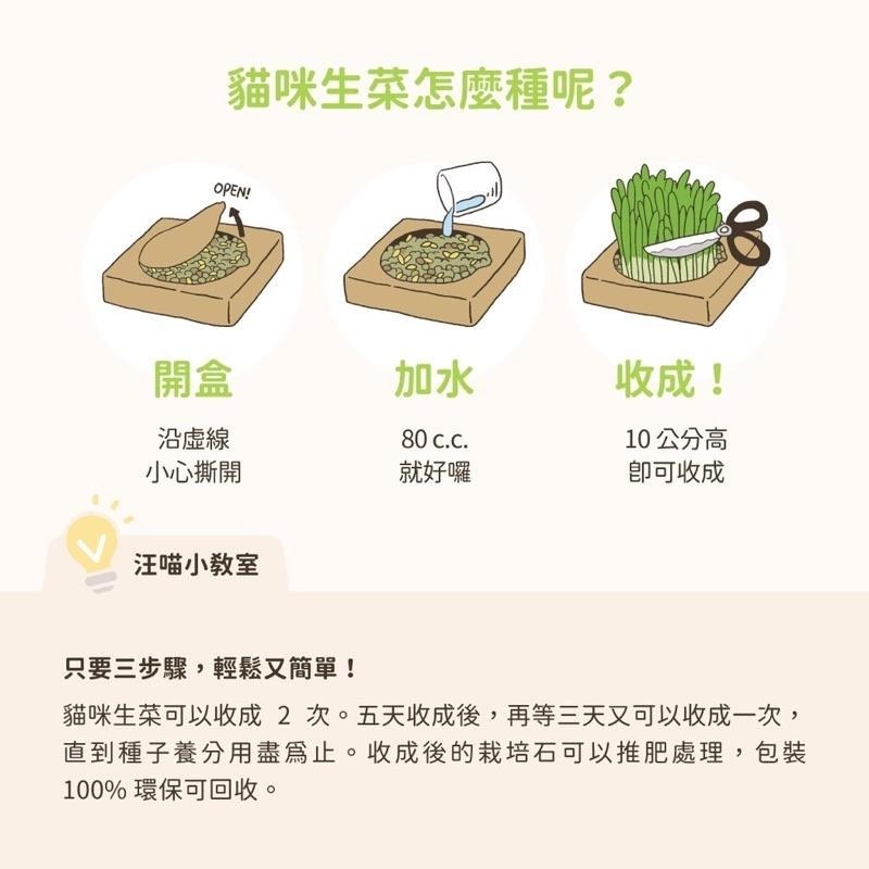【3隻貓】汪喵星球 貓草新鮮栽培盒🟡貓草 小麥草 狗草 新鮮栽培盒1入-細節圖3