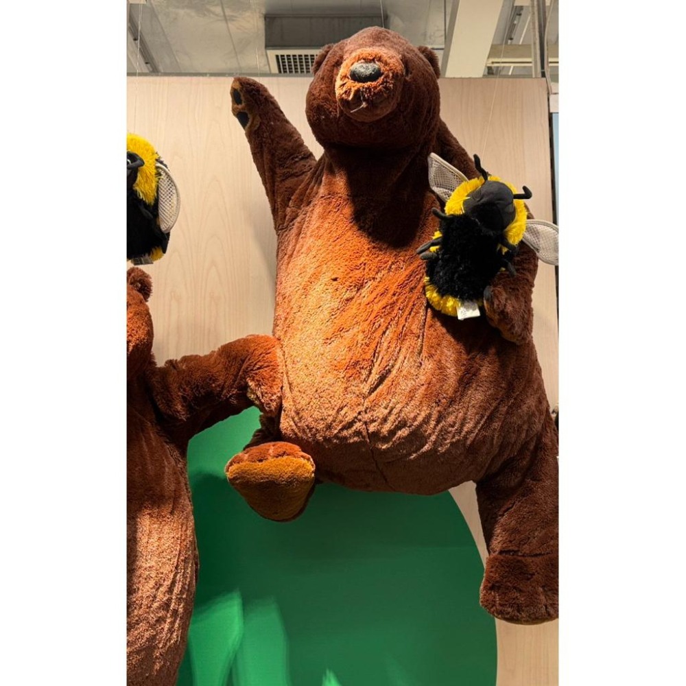 IKEA 代購 DJUNGELSKOG 棕熊 100公分 節日 大棕熊 交換禮物 熊 生日禮物 大熊布偶-細節圖3