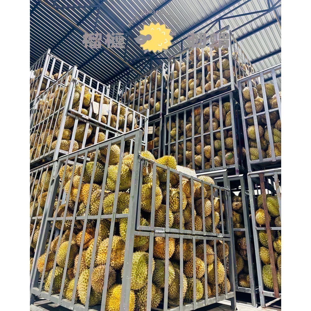 8吋經典奶油榴槤千層-細節圖3