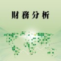 財務分析