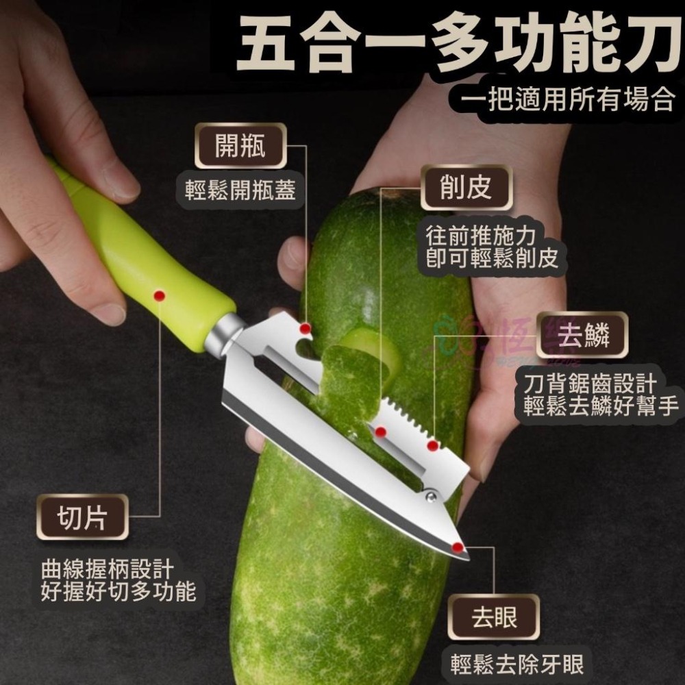 五合一 多功能削皮刀【恆樂居家】萬用刀 露營 宿舍 水果刀 去鱗刀 開瓶器 去芽眼 切片刀 刀具-細節圖2