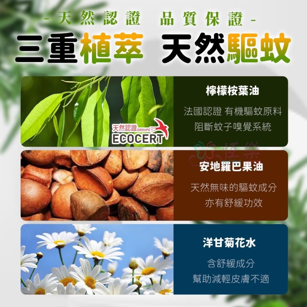 草本防蚊噴霧 台灣製【恆樂居家】小黑蚊 植粹防蚊液 有效驅蚊 防蚊液 防蚊包 驅蚊 露營 烤肉野餐 草本-細節圖2