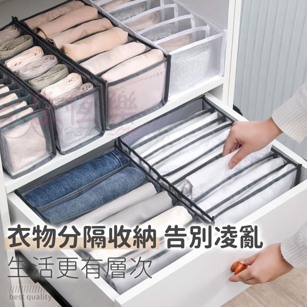 衣物收納分隔袋 衣櫥整理【恆樂居家】PVC收納袋 分格 分隔整理箱 紗網收納袋 衣物整理 衣服整理 內褲分格 收納格-細節圖5