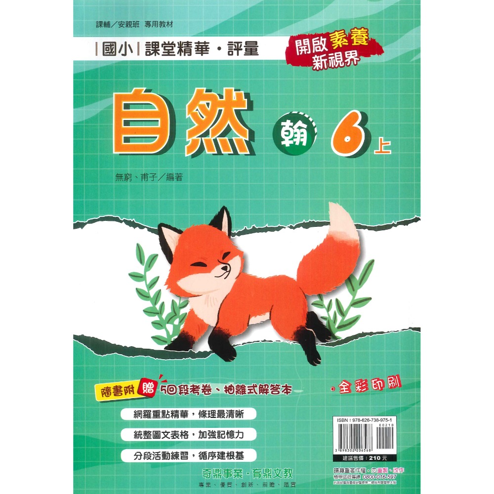 113上 奇鼎國小『課堂精華』6上 6年級 配合翰林 康軒 南一  國語 數學 生活 附解答(小六)-規格圖1