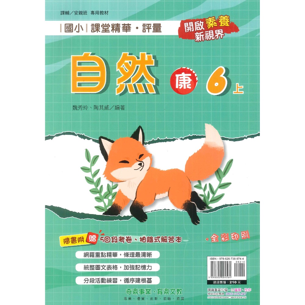 113上 奇鼎國小『課堂精華』6上 6年級 配合翰林 康軒 南一  國語 數學 生活 附解答(小六)-規格圖1