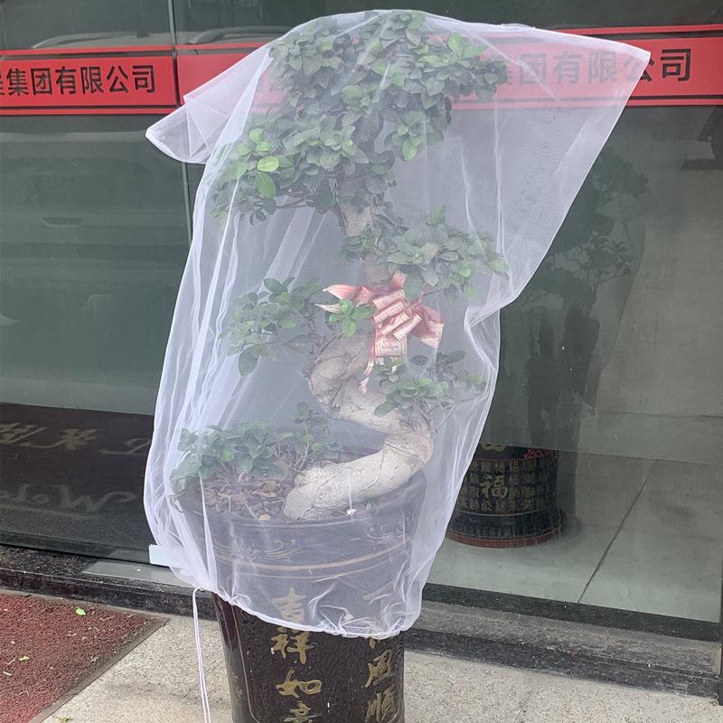 【小魚生活館台灣現貨】植物防蟲網罩 景觀植物 超大號防蟲網袋束口花果防蟲網 快速出貨-細節圖5