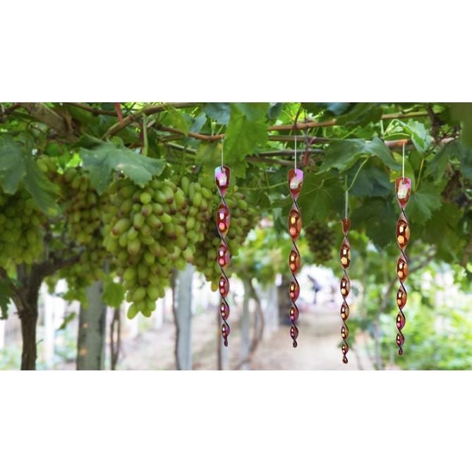 【小魚生活館台灣現貨】螺旋驅鳥棒 30cm 閃光防鳥工具 反光棒 趕鳥棒 旋轉驅鳥棒 園藝用品-細節圖2