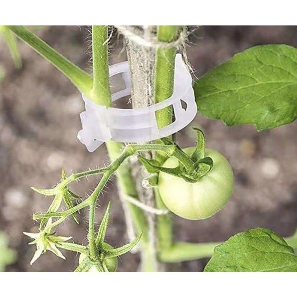 【小魚生活館台灣現貨】瓜果植物固定夾 蔬菜番茄藤蔓類植物 快速卡扣 園藝用品 菜園蔬菜種植植物-細節圖3