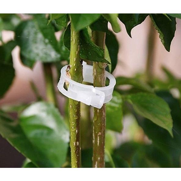 【小魚生活館台灣現貨】瓜果植物固定夾 蔬菜番茄藤蔓類植物 快速卡扣 園藝用品 菜園蔬菜種植植物-細節圖4