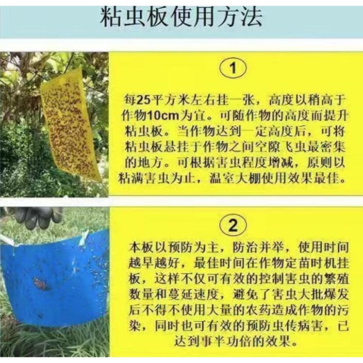 20片【小魚生活館台灣現貨】黃藍兩色黏蟲板 誘蟲板 抓果蠅蒼蠅小飛蟲 園藝用品菜園果園 庭院農作物-細節圖8