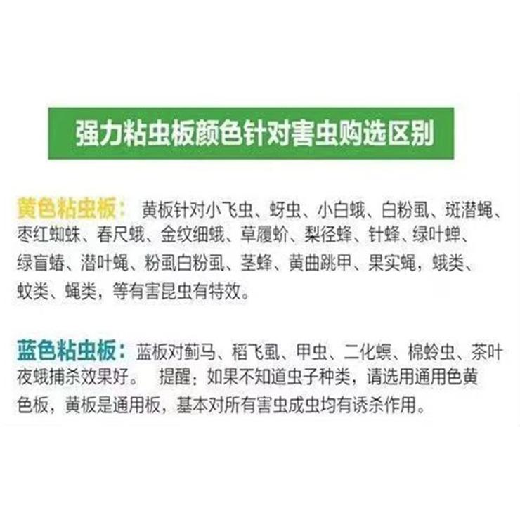 20片【小魚生活館台灣現貨】黃藍兩色黏蟲板 誘蟲板 抓果蠅蒼蠅小飛蟲 園藝用品菜園果園 庭院農作物-細節圖9