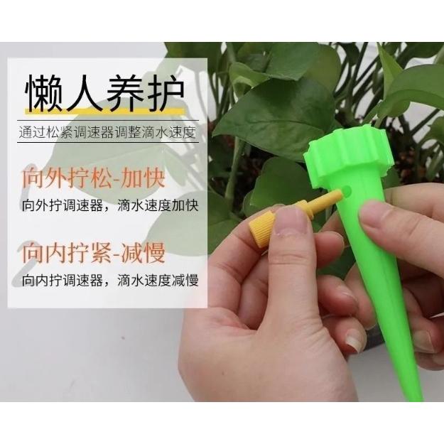 【小魚生活館台灣現貨】懶人澆水器 自動澆花器 花盆花卉多肉植物 滴水器 園藝神器-細節圖6