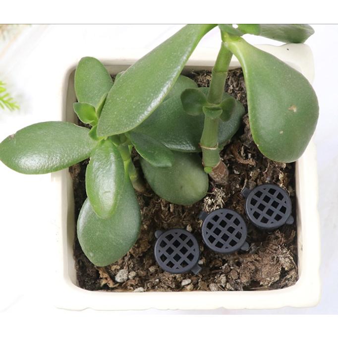 【小魚生活館台灣現貨】附蓋子肥料籃肥料盒 根肥盒 水族箱魚缸水草養殖肥料-細節圖7