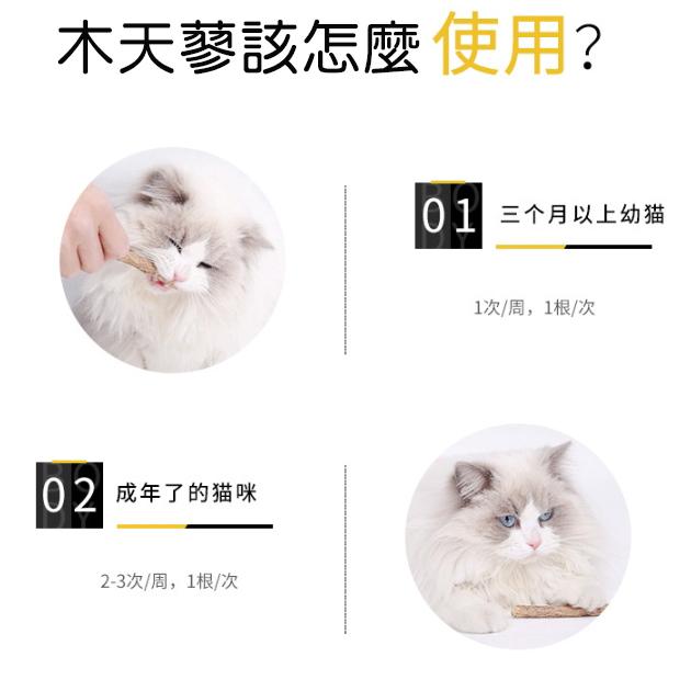 5支裝【小魚生活館台灣現貨】貓咪潔牙木天蓼棒 磨牙棒 貓咪玩具-細節圖3
