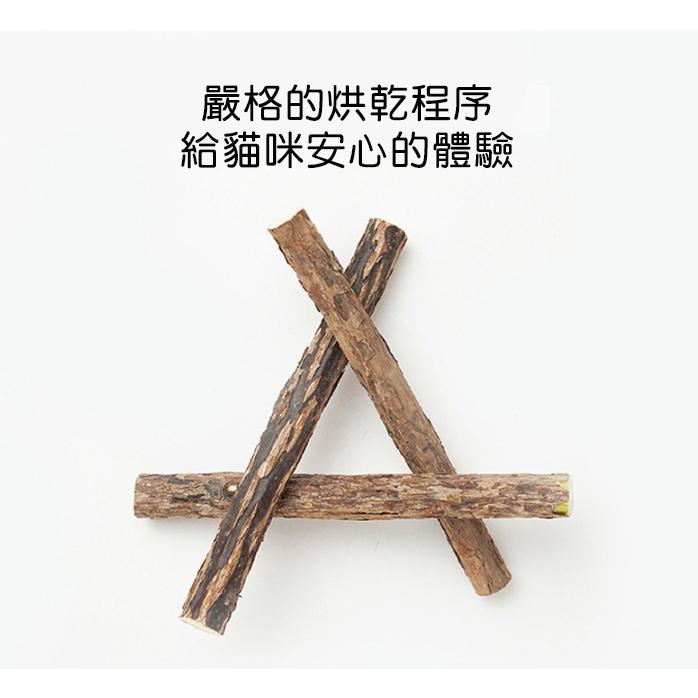 5支裝【小魚生活館台灣現貨】貓咪潔牙木天蓼棒 磨牙棒 貓咪玩具-細節圖6