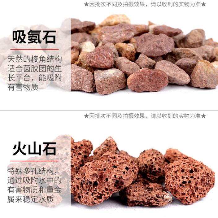 大包裝【小魚生活館台灣現貨】魚缸十二合一過濾材料 水族箱材料 養魚 寵物 一包500g-細節圖9